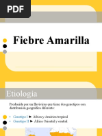 Fiebre Amarilla Expo