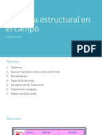 08 Geologia Structural Foliaciones PDF