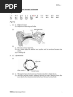 SC F2 - Answers