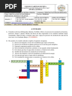 Taller Biología. Isabela Quiñonez. 702