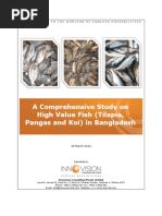 Comprehensive Study of High Value Fish Tilapia Pangas and Koi in Bangladesh 1