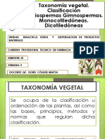 TAXONOMIA