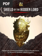 Baldur's Gate - Shield of The Hidden Lord