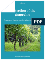 An Overview of Pest Protection Options For The Grapevine