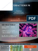 Mycobacterium