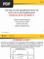 Oxidación Química en Suelos