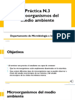 Microorganismos Del Ambiente Modificada (Autoguardado)