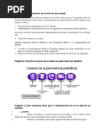 Pregunta 1: ¿Características de Una RCP de Alta Calidad?