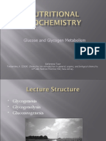 Gluconeogenesis & Glycogen 2011