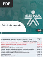 Estudio de Mercado Con Ingresos SN