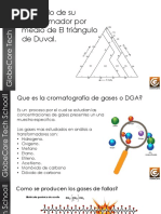 Triangulo de Duval PDF