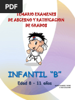 Temario 8 11 Años PDF