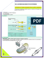 Bestcours L'essentiel À Retenir PDF