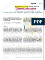 ECM - Connective Tissue Diseases