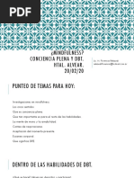 Manual Habilidades (Conciencia Plena) PDF