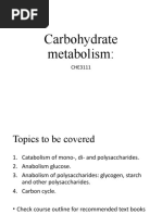 Carbohydrate Metabolism