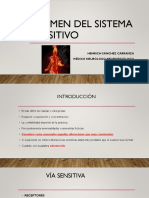 Evaluación de La Sensibilidad PDF