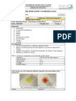 Informe Indicador Con Remolacha