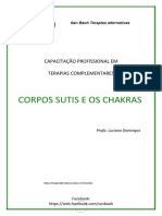 Corpos+sutis+e+os+chakras