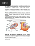 Texto Base PDF