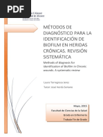 Metodos de Diagnostico para La Identificacion de B Torregrosa Jerez Laura