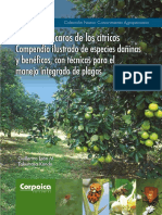 Plagas Citiricos Agrosavia PDF