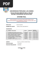 Modelo de Informe Final Incompleto 18