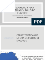 Características de La Cría de Pollos de Engorde Presentacion 1