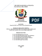 Trabajo Aplicativo Patrullaje Policial Del Salvador 2020