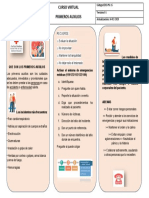 Folletos Primeros Auxilios PDF