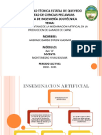 Ventajas y Desventajas de La Inseminacion Artificial en La Produccion de Ganado de Carne