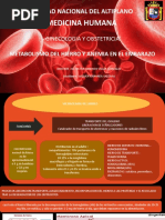 Anemia en Gestante