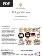 Uniminuto Bología 5 Ultima