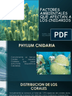 Factores Ambientales Que Afectan A Los Cnidarios