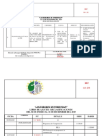 Hoja de Hallazgos Ppe PDF