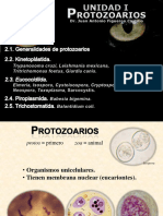 PROTOZOARIOS