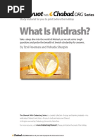 What Is Midrash?: by Tzvi Freeman and Yehuda Shurpin