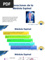 Alteraciones de La Medula Espinal