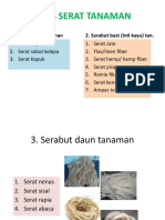 Budidaya Tanaman Semusim (RAMI)