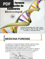 Medicina Forense