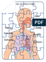 Rompecabezas Sistemas Humanos