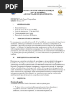 Guia Lenguaje 9 PDF