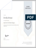 41) Python Program (Project) Certificate PDF