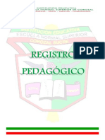 Regirtro Pedagógico