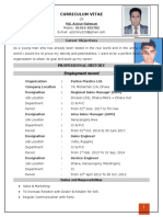 Curriculum Vitae: Employment Record