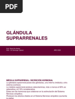 Glandulas Suprarrenales