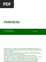 PANCREAS