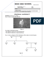 Inheritance Worksheet 2: Fig. 1.1 Shows A Goat With White Fur