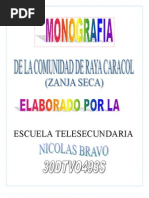 Monografía Telesecundaria "Nicolás Bravo"