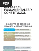 Derechos Fundamentales y La Constitucion